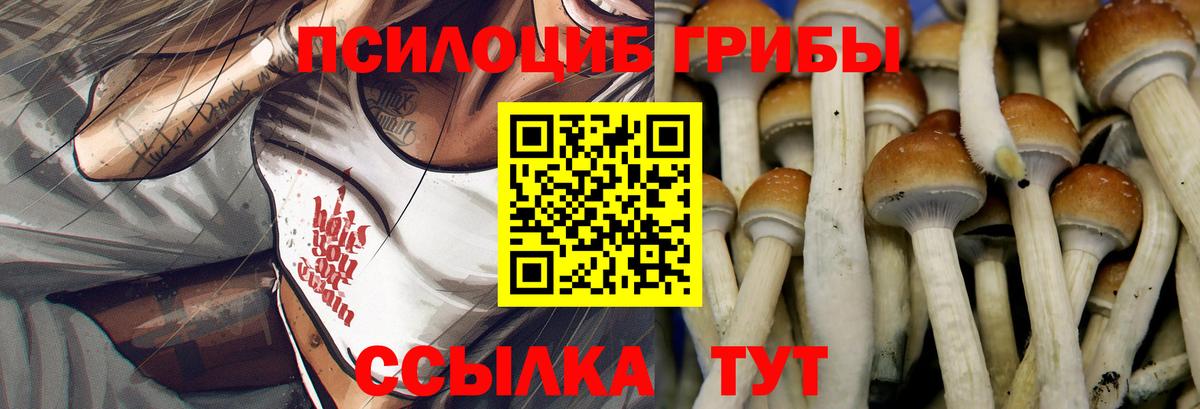 Галлюциногенные грибы MAGIC MUSHROOMS  Вход с VPN  Галлюциногенные грибы мицелий  Гуково 