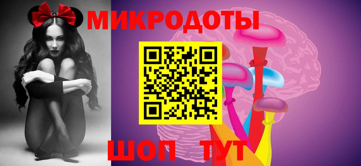 Галлюциногенные грибы Psilocybe Гуково